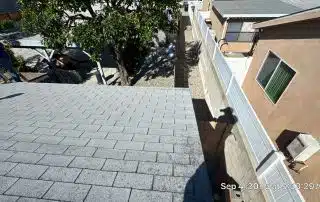 Rooftop view with nearby tree and residential area.