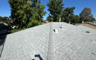 Rooftop with chimney and trees, bright sunny day