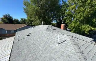 Gray shingle roof with chimney and trees.