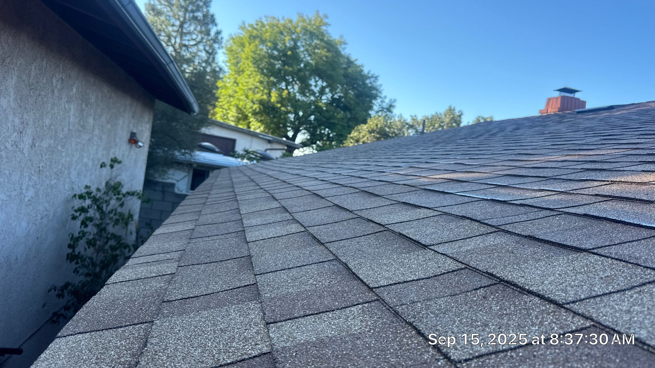 roof replacement Altadena,plywood re-sheeting,Altadena roofing,full roof install Altadena,Roof Repairs CA