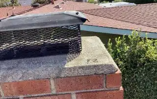 Red brick chimney with mesh cap on roof.
