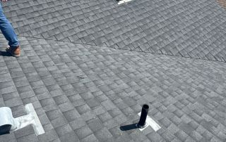 View of shingled roof with vent pipes and trees.