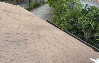 Roof view with trees, street below.