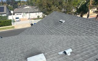 Rooftop view with trees and blue sky