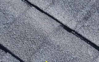 Roof shingles with lifted plywood section visible.