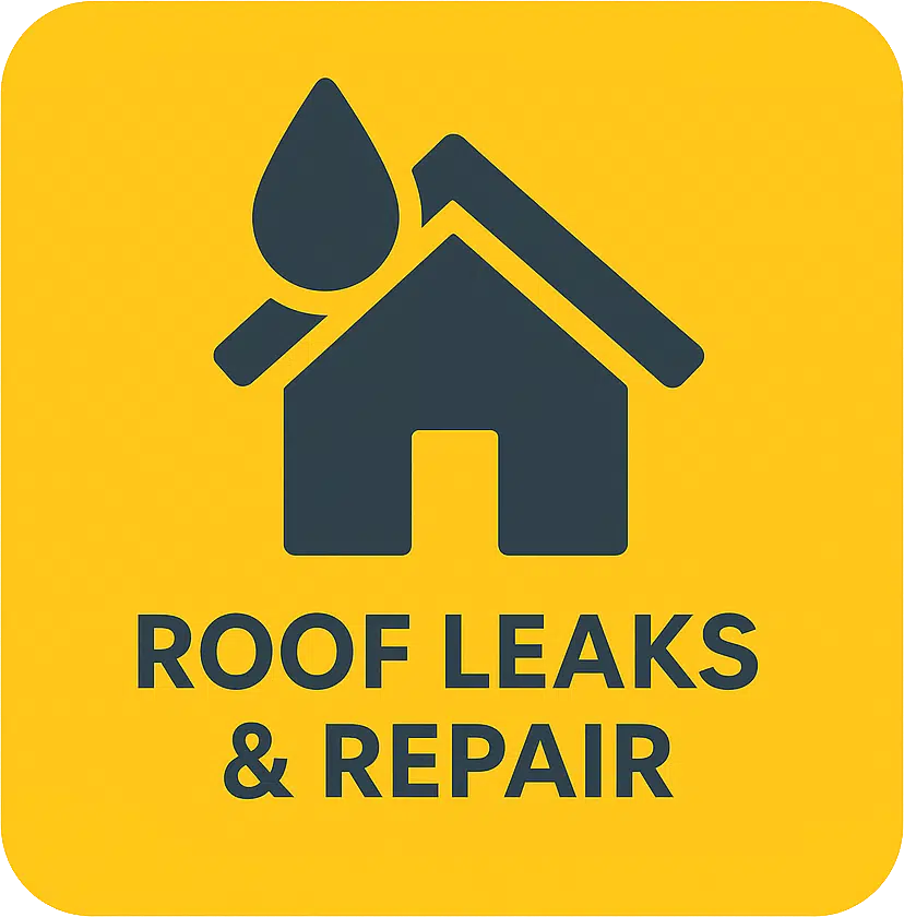 Roof Leaks & Repair in Eagle Rock