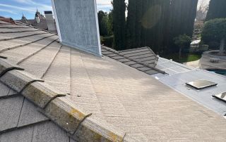 13-Feb 12 2026 03_19pm-xbtF House roof with chimney and tall cypress trees.