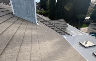 15-Feb 12 2026 03_19pm-sZmd Rooftop view with trees and chimney.