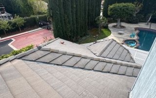 19-Feb 12 2026 03_22pm-Y7Tm View from rooftop overlooking trees and swimming pool.