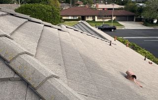 22-Feb 12 2026 03_22pm-WWHU Residential neighborhood with tile rooftops and palm trees.