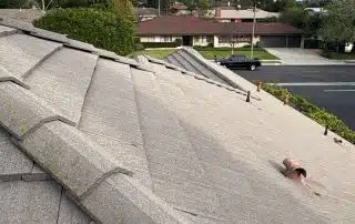 Residential neighborhood with tile rooftops and palm trees.