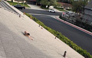 23-Feb 12 2026 03_22pm-iXWz Residential street view from rooftop, trees and cars visible.