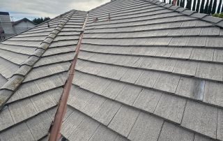 3-Feb 12 2026 03_17pm-NTnQ Sunny rooftop with gray shingles and cypress trees.