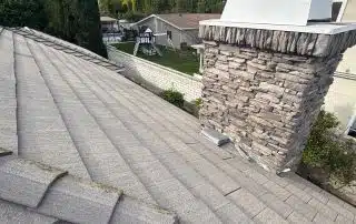 Rooftop view with chimney and backyard landscape.