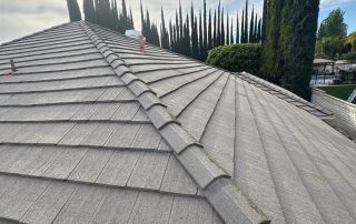 6-Feb 12 2026 03_18pm-5WFr House roof with tall trees and bright sky.