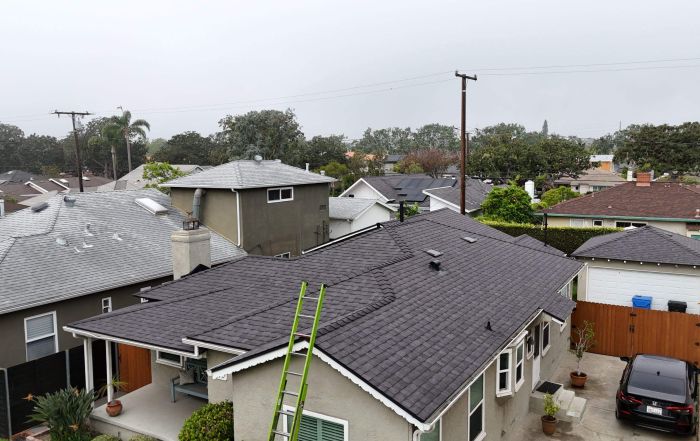 Suburban homes with gray roof and ladder