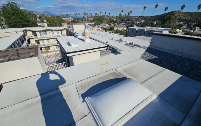 Apartment rooftop with skylight and palm trees