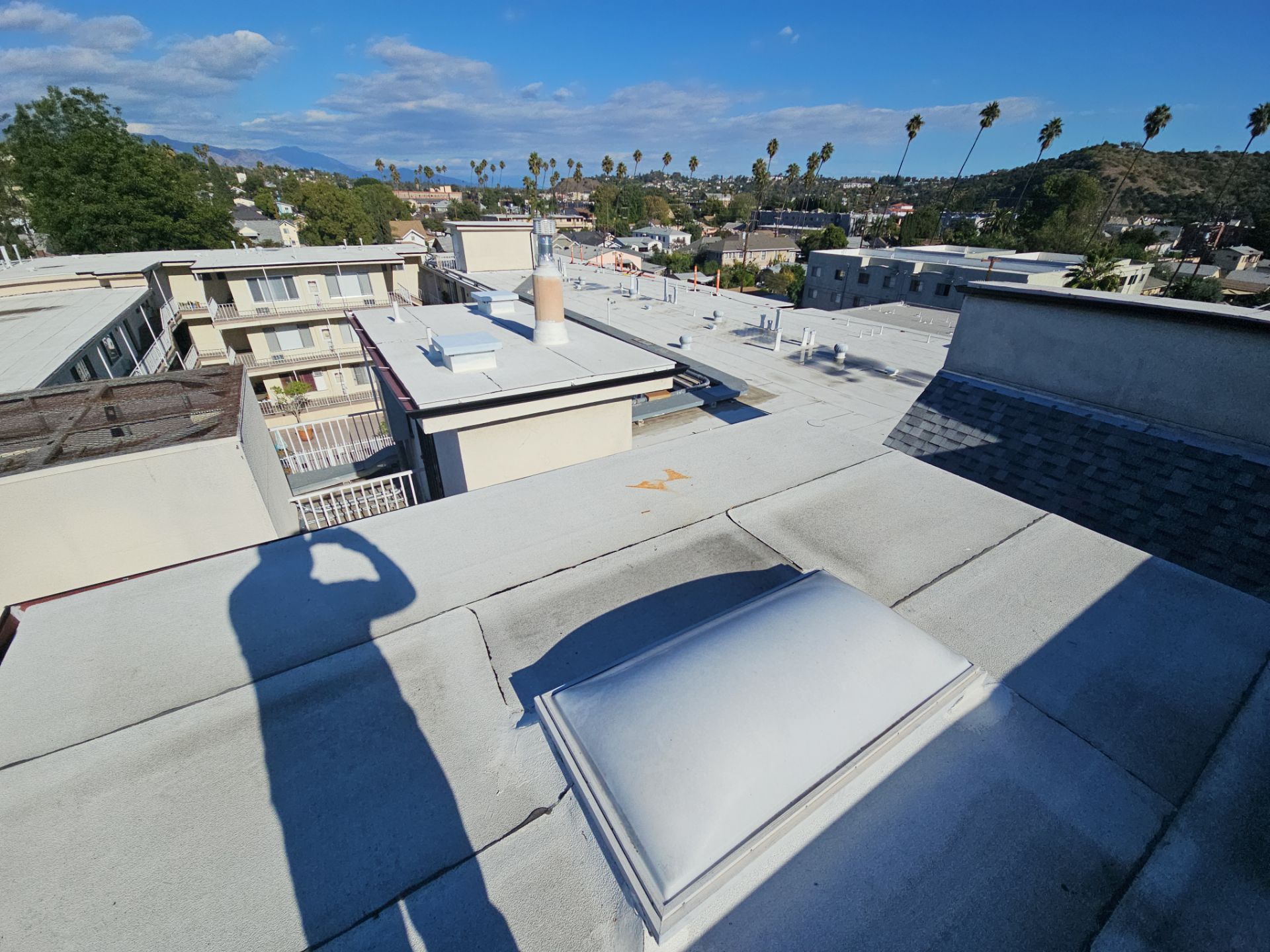 Apartment rooftop with skylight and palm trees