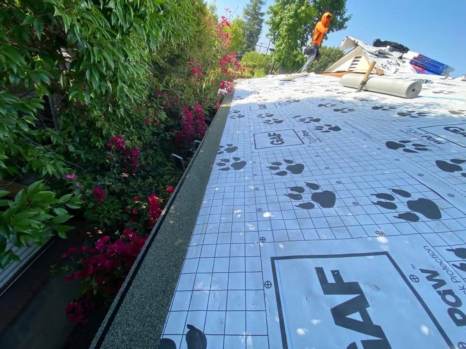california-roofing-permits-what-homeowners-need-to-know-befo-3950 Storm damaged asphalt shingle roof with shingles lifted and missing and bare decking exposed at the eave