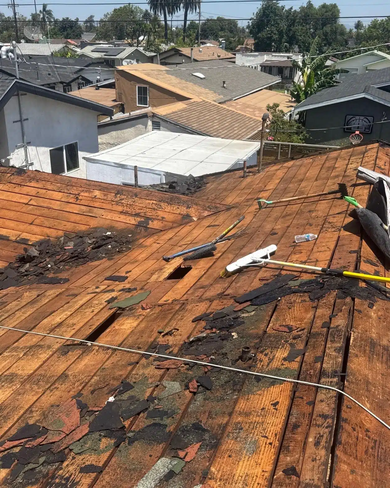 full-shingle-reroof-new-osb-decking-los-angeles-3467 Storm damaged asphalt shingle roof with shingles lifted and missing and bare decking exposed at the eave